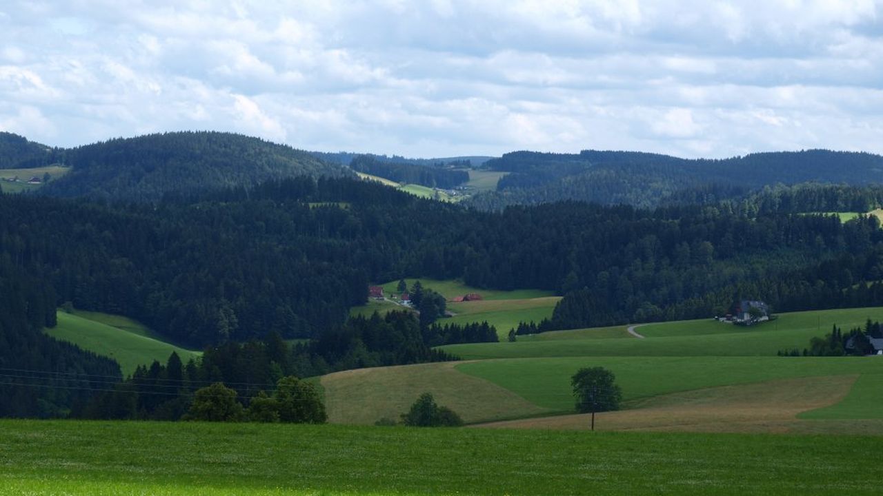 Blick ins Steinbachtal Blick ins Steinbachtal